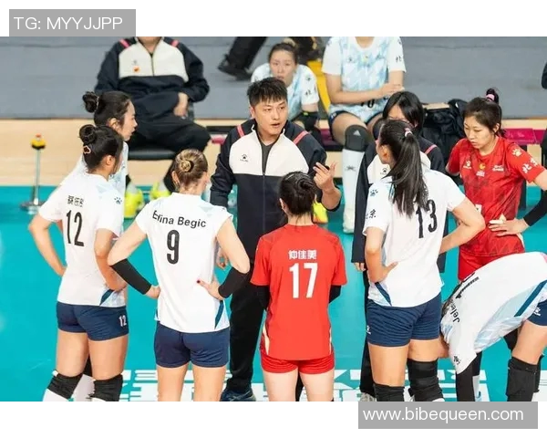 2019年辽宁女排与北京女排精彩对决回顾与赛季分析