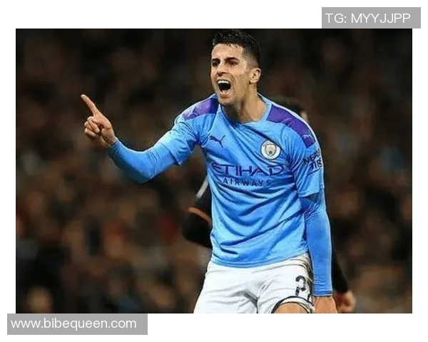 坎塞洛在足球场上的华丽转身与未来发展潜力的深度分析