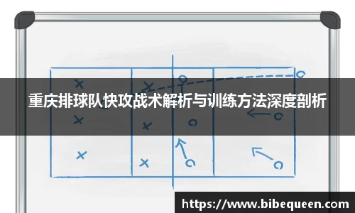 3377体育官网入口网页版