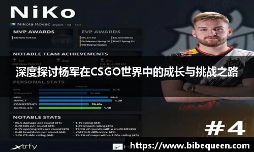 深度探讨杨军在CSGO世界中的成长与挑战之路