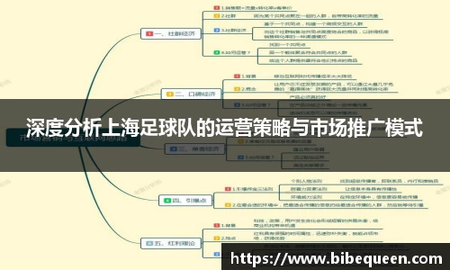 深度分析上海足球队的运营策略与市场推广模式